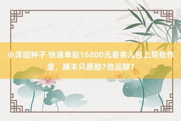 小泽圆种子 快递单贴16800元香奈儿包上导致作废，顺丰只愿赔7倍运脚？