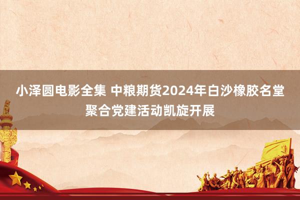 小泽圆电影全集 中粮期货2024年白沙橡胶名堂聚合党建活动凯旋开展