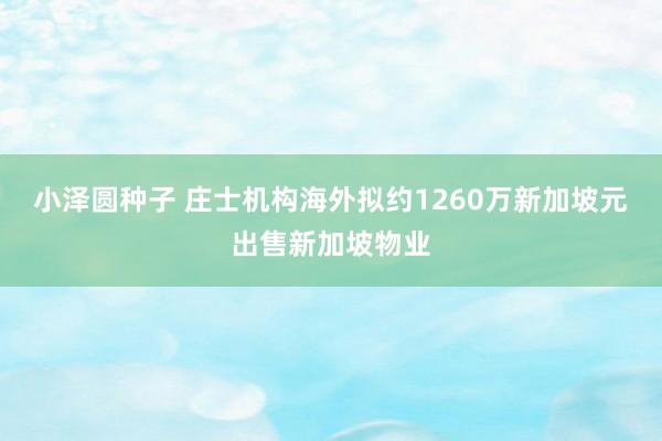 小泽圆种子 庄士机构海外拟约1260万新加坡元出售新加坡物业