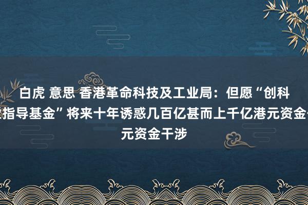 白虎 意思 香港革命科技及工业局：但愿“创科产业指导基金”将来十年诱惑几百亿甚而上千亿港元资金干涉