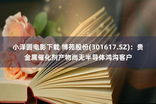 小泽圆电影下载 博苑股份(301617.SZ)：贵金属催化剂产物尚无半导体鸿沟客户