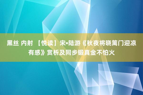 黑丝 内射 【悦读】宋•陆游《秋夜将晓篱门迎凉有感》赏析及同步锻真金不怕火