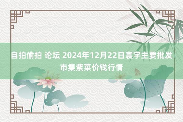 自拍偷拍 论坛 2024年12月22日寰宇主要批发市集紫菜价钱行情