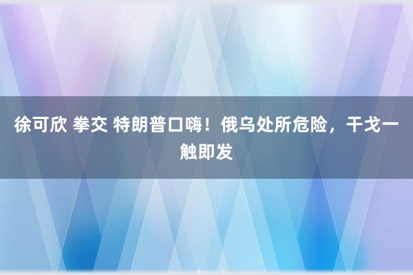 徐可欣 拳交 特朗普口嗨！俄乌处所危险，干戈一触即发