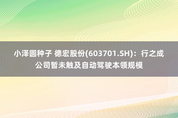 小泽圆种子 德宏股份(603701.SH)：行之成公司暂未触及自动驾驶本领规模