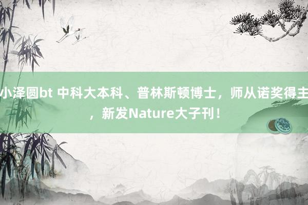 小泽圆bt 中科大本科、普林斯顿博士，师从诺奖得主，新发Nature大子刊！