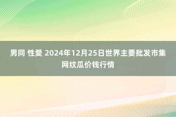 男同 性愛 2024年12月25日世界主要批发市集网纹瓜价钱行情