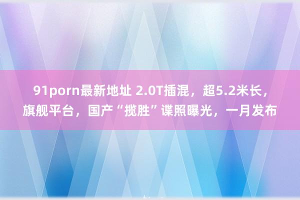 91porn最新地址 2.0T插混，超5.2米长，旗舰平台，国产“揽胜”谍照曝光，一月发布