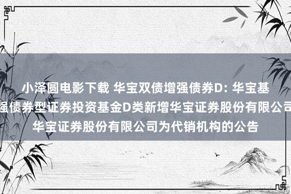 小泽圆电影下载 华宝双债增强债券D: 华宝基金对于华宝双债增强债券型证券投资基金D类新增华宝证券股份有限公司为代销机构的公告