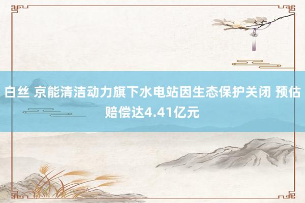 白丝 京能清洁动力旗下水电站因生态保护关闭 预估赔偿达4.41亿元