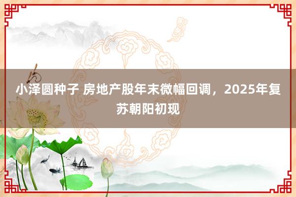 小泽圆种子 房地产股年末微幅回调，2025年复苏朝阳初现