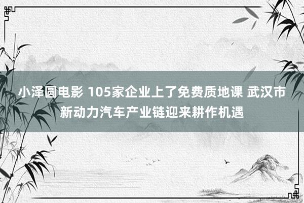 小泽圆电影 105家企业上了免费质地课 武汉市新动力汽车产业链迎来耕作机遇