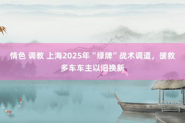 情色 调教 上海2025年“绿牌”战术调遣，援救多车车主以旧换新