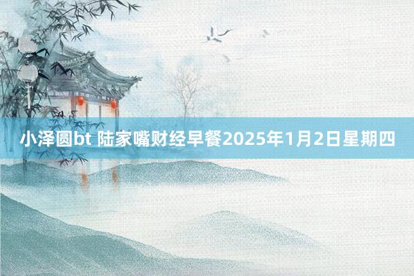 小泽圆bt 陆家嘴财经早餐2025年1月2日星期四