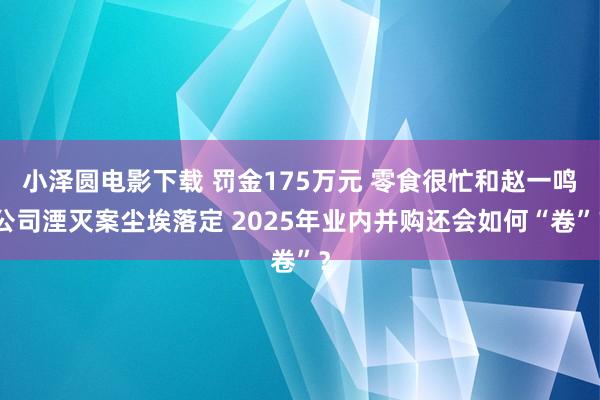 小泽圆电影下载 罚金175万元 零食很忙和赵一鸣公司湮灭案尘埃落定 2025年业内并购还会如何“卷”？