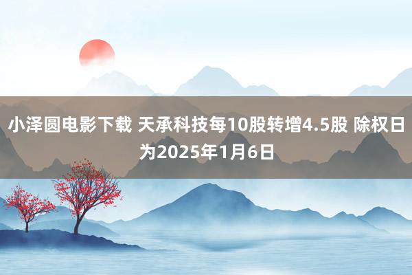 小泽圆电影下载 天承科技每10股转增4.5股 除权日为2025年1月6日