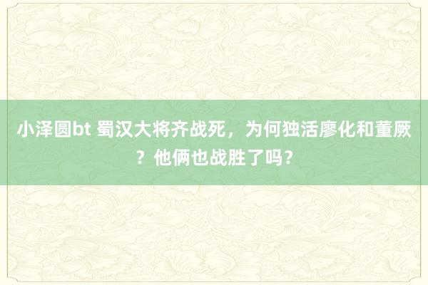 小泽圆bt 蜀汉大将齐战死，为何独活廖化和董厥？他俩也战胜了吗？