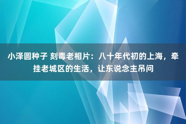 小泽圆种子 刻毒老相片：八十年代初的上海，牵挂老城区的生活，让东说念主吊问