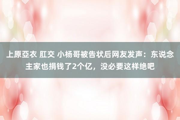 上原亞衣 肛交 小杨哥被告状后网友发声：东说念主家也捐钱了2个亿，没必要这样绝吧