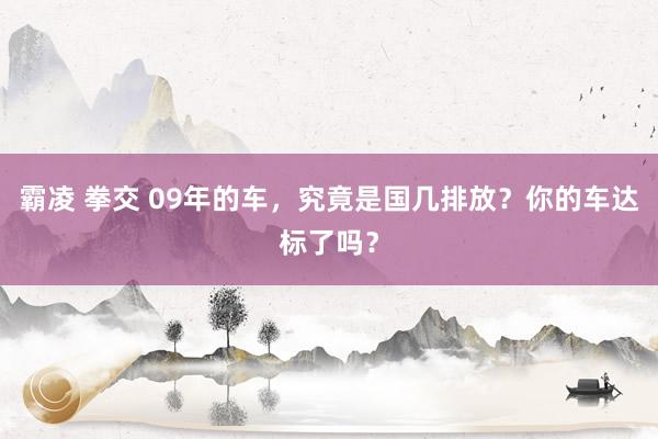 霸凌 拳交 09年的车，究竟是国几排放？你的车达标了吗？