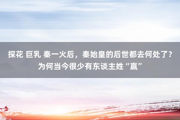 探花 巨乳 秦一火后，秦始皇的后世都去何处了？为何当今很少有东谈主姓“赢”