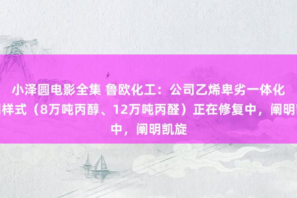 小泽圆电影全集 鲁欧化工：公司乙烯卑劣一体化二期样式（8万吨丙醇、12万吨丙醛）正在修复中，阐明凯旋