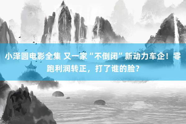 小泽圆电影全集 又一家“不倒闭”新动力车企！零跑利润转正，打了谁的脸？