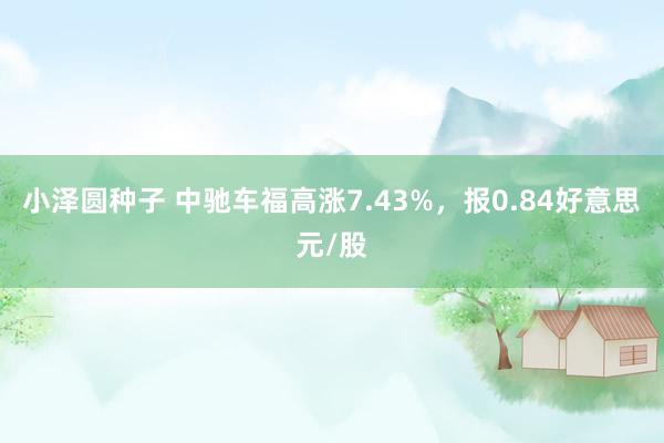 小泽圆种子 中驰车福高涨7.43%，报0.84好意思元/股