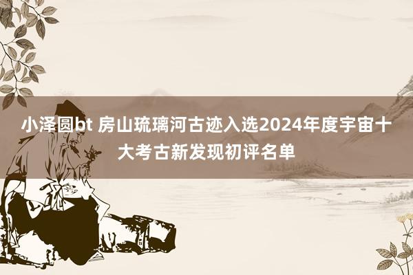 小泽圆bt 房山琉璃河古迹入选2024年度宇宙十大考古新发现初评名单