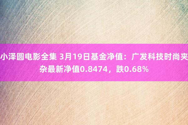小泽圆电影全集 3月19日基金净值：广发科技时尚夹杂最新净值0.8474，跌0.68%